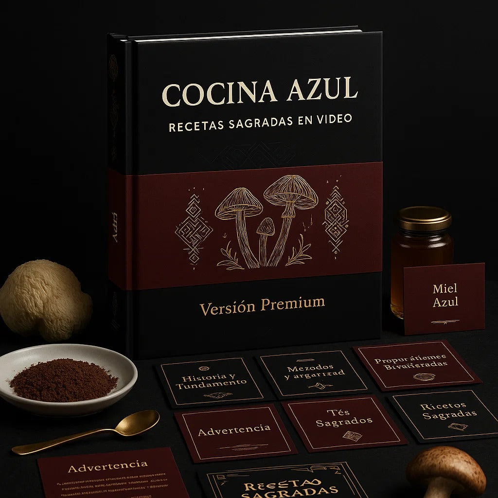 Cocina Azul — Experiencias Suaves, Seguras y Deliciosas con Hongos Sagrados